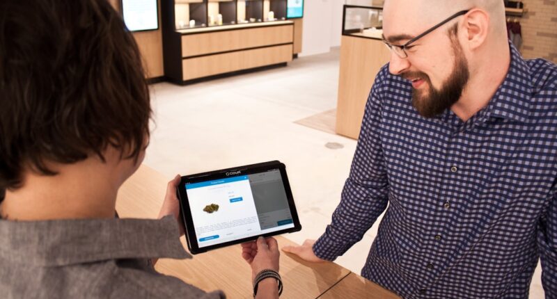 Photo Cannabis strain