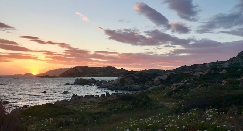 Photo 1 Parenting books 2 Support groups