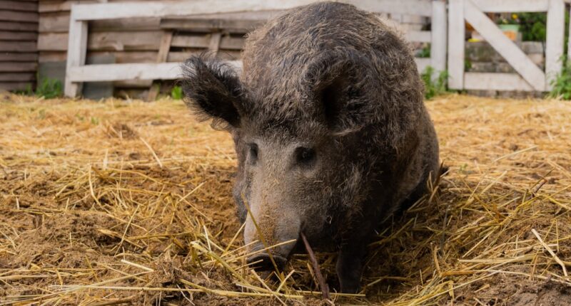 Photo 1 Worksheet 2 Goals