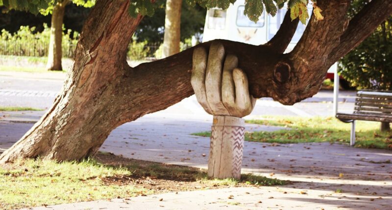 Photo 1 Parenting 2 Child 3 Support 4 Understanding 5 Patience