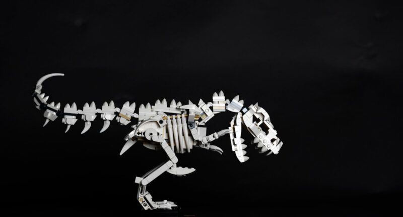 Photo T-Rex, ADHD, Arms