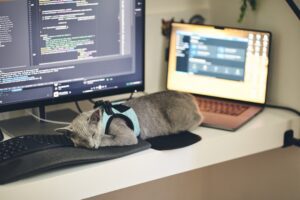 Photo Distractions, Multitasking
