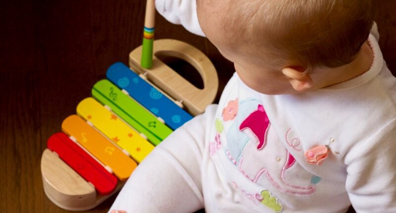 Photo Image: Childs Toy