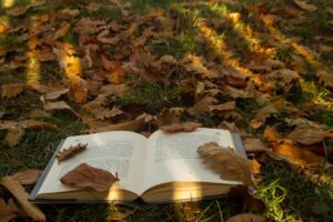 Photo Image: Book cover