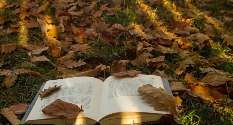 Photo Image: Book cover