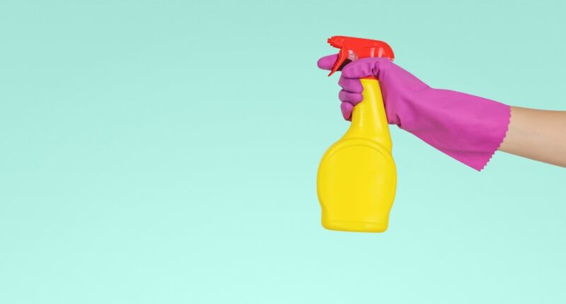 Photo Image: Cleaning Supplies