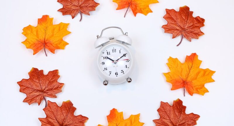 Photo Nouns: ADHD, planner, organization, productivity, time management Image: Productivity planner