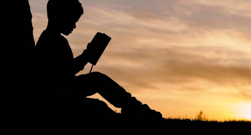 Photo Nouns: books, ADHD, parents Image: Parenting book