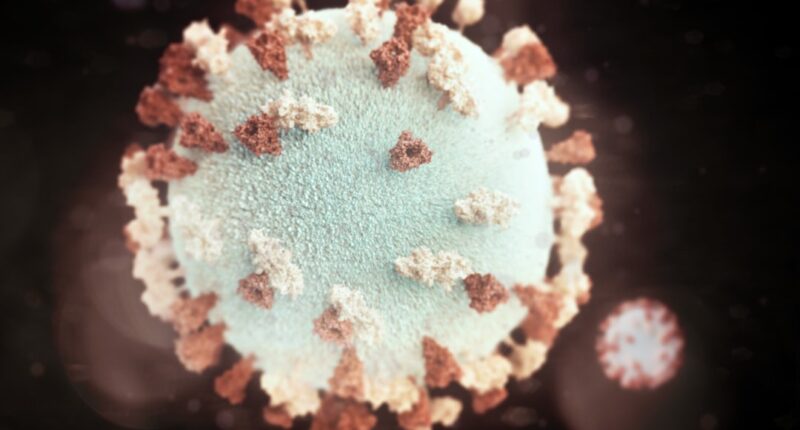 Photo Image: Closet, Organized