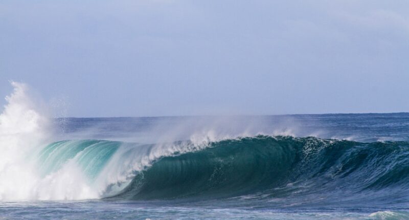 Photo Image: Brain waves