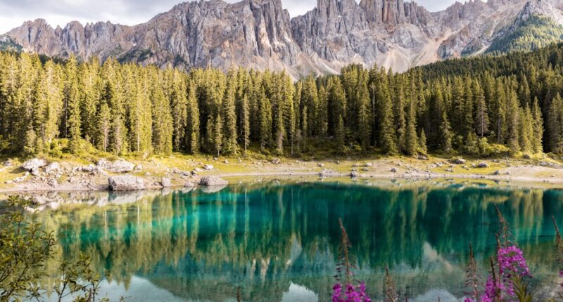 Photo 1 Meditation 2 Yoga 3 Nutrition 4 Exercise 5 Therapy 6 Mindfulness 7 Nature 8 Supplements 9 Sleep 10 Creativity