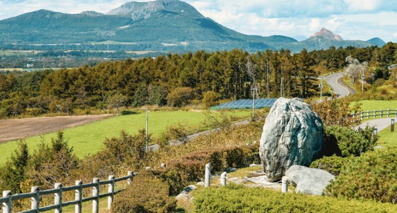 Photo Pills, Expiration date