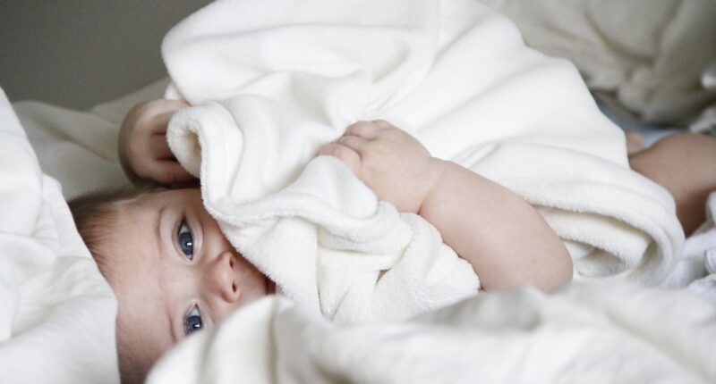 Photo Image: Childs Toy