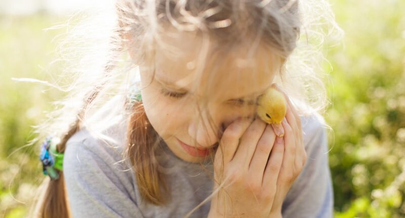 Photo Child, hitting, school, teacher, frustration