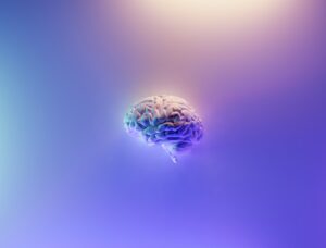 Adult ADHD Brain