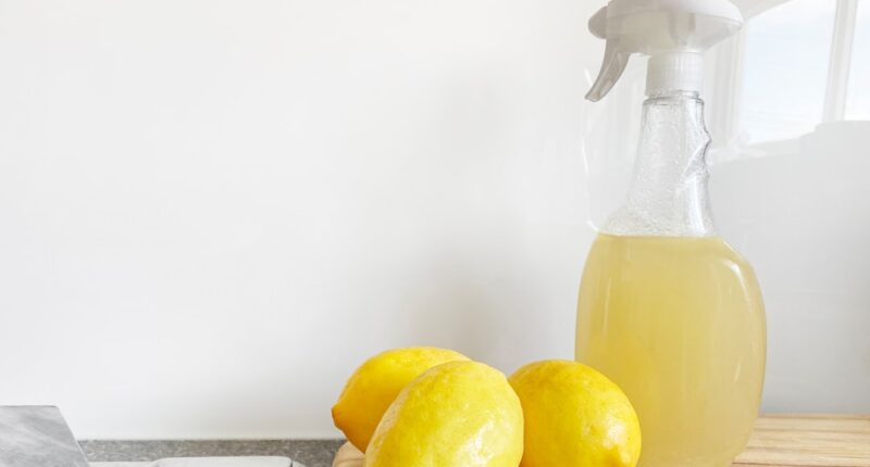 Photo Image: Cleaning Supplies