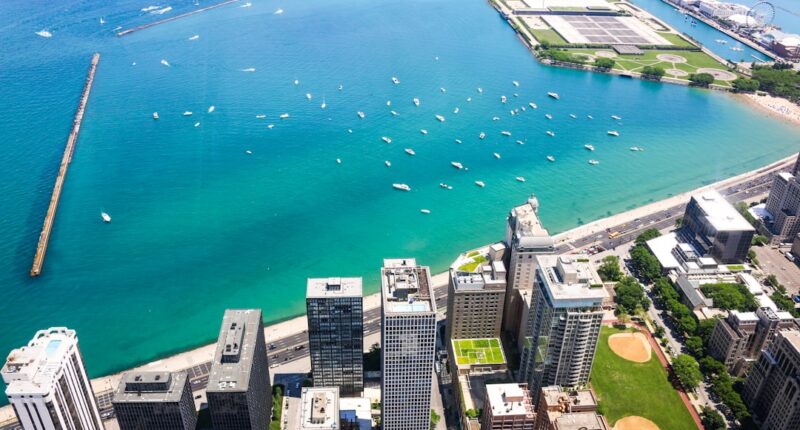 Photo Image: Coach, Chicago skyline