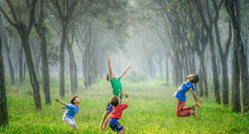 Photo Image: Brain activity