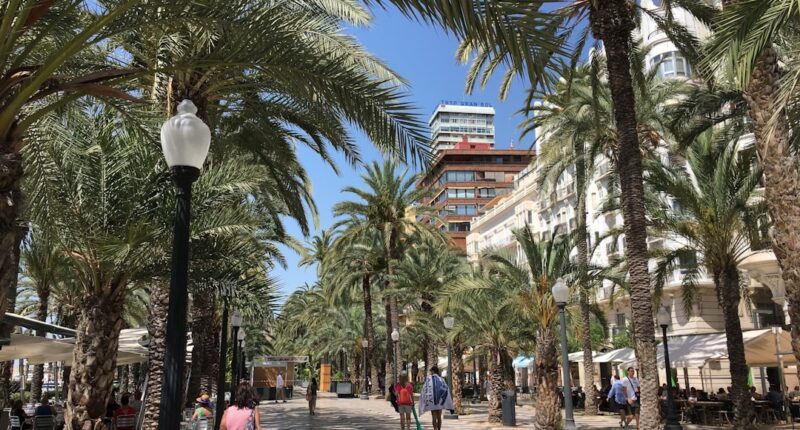 Photo 1 Brain 2 Visualization