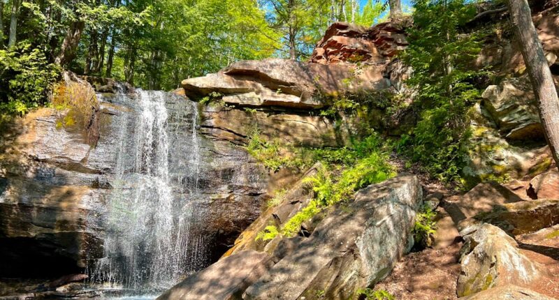 Photo 1 Doctor 2 Testing 3 ADHD 4 Grand Rapids, MI 5 Clinic