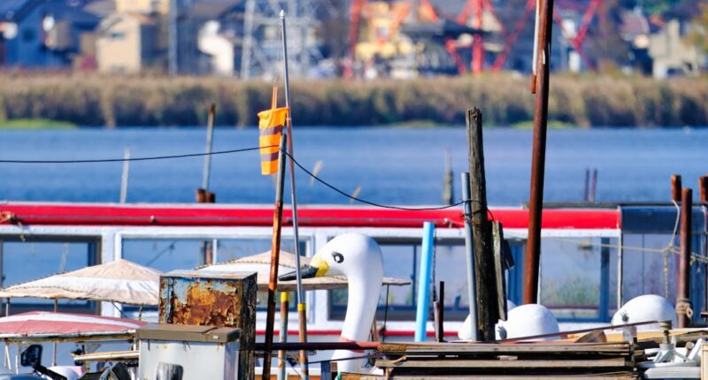 Photo 1 Brain 2 Connection