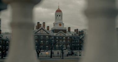 Photo Harvard study