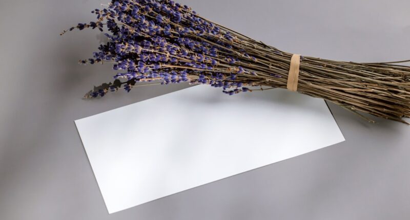 Photo Notion template