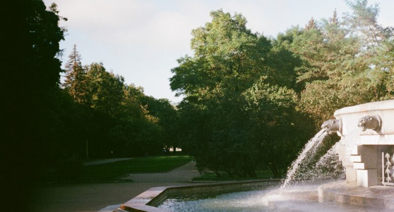 Photo 1 ADHD 2 Plano