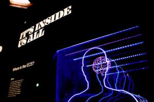 Photo brain stimulation
