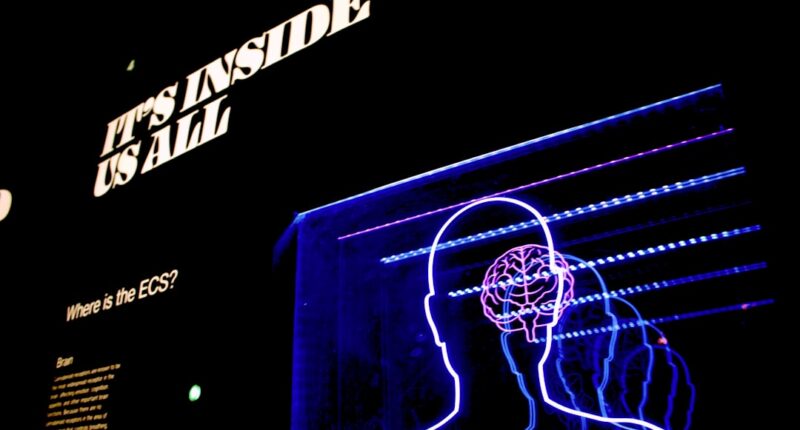 Photo brain stimulation