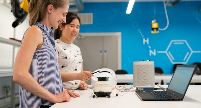 Photo Frustration, Success