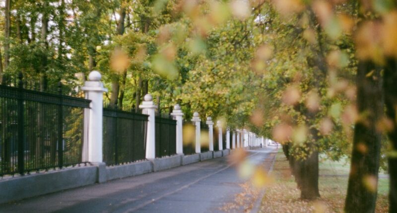 Photo 1 Brain 2 Pills