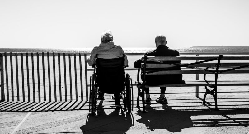 Photo 1 Brain 2 Aging