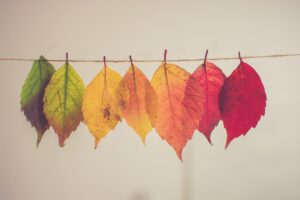 Photo Color-coded planner