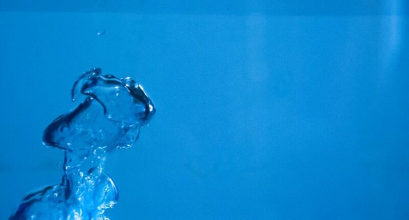 Photo Insurance card