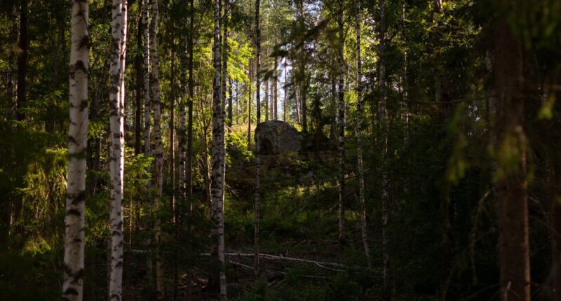 Photo Awareness campaign