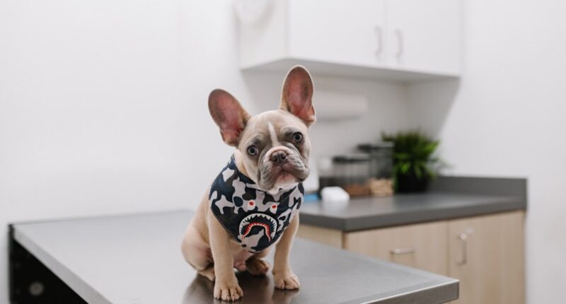 Photo Doctors office